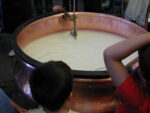 vat of milk being heated to make Comté